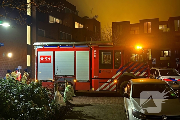 Kat in boom aangetroffen