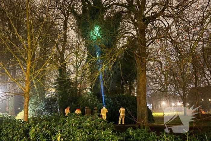 Kat in boom aangetroffen