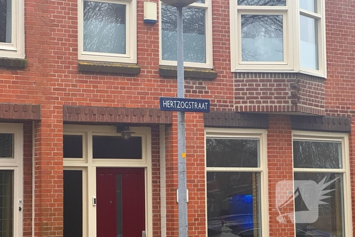 Opnieuw bronzenbeeld gestolen