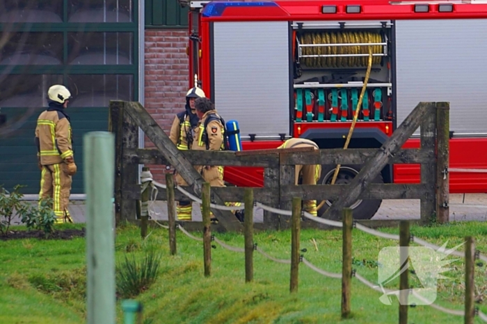 Brand in stal met tweehonderd stuks vee