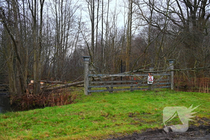 Persoon geraakt door vallende boom, Rijksstraatweg - N355 in Ryptsjerk