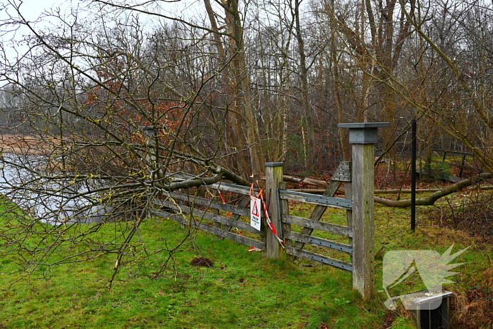 Persoon geraakt door vallende boom