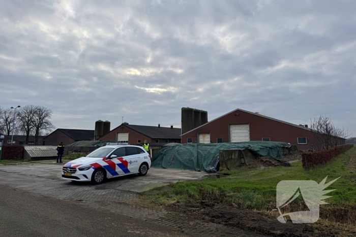 Brand in meterkast van varkensstal