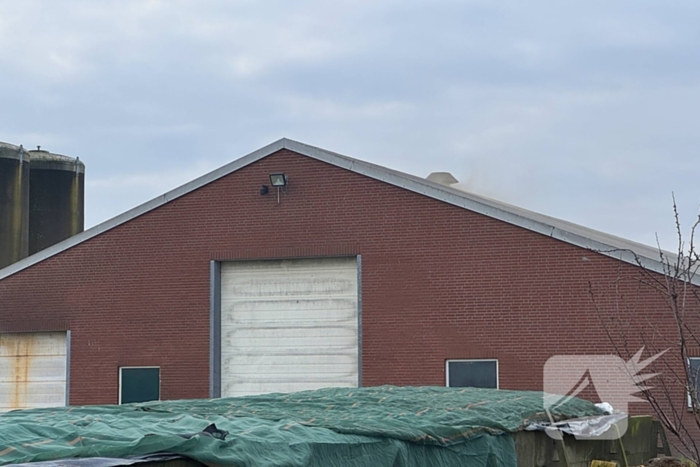 Brand in meterkast van varkensstal