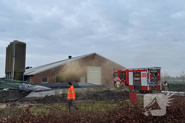 Brand in meterkast van varkensstal
