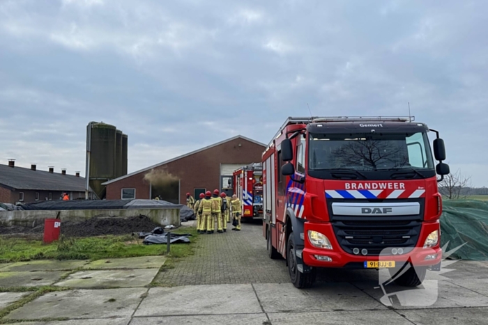 Brand in meterkast van varkensstal