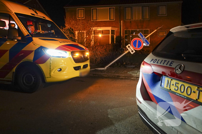 Automobilist ramt lantaarnpaal en kleine paal