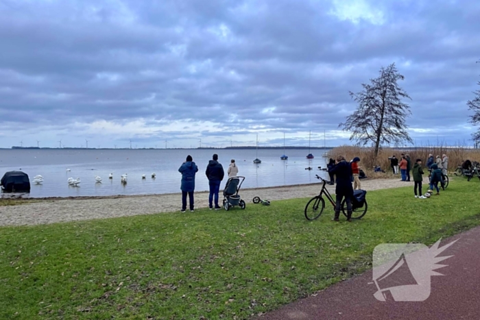 Veel vogelliefhebbers op de been voor neergestreken flamingo's