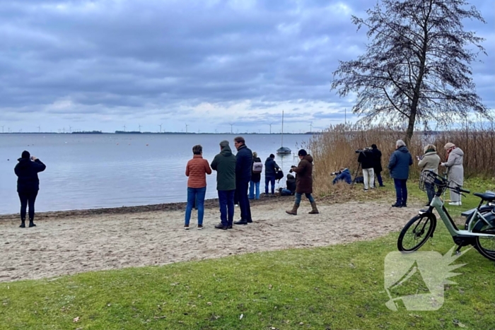 Veel vogelliefhebbers op de been voor neergestreken flamingo's