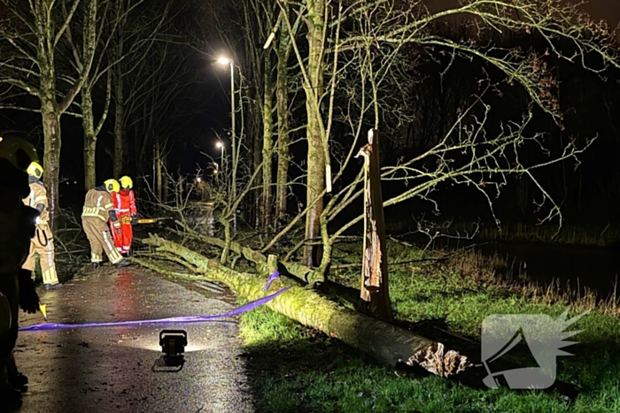 Boom valt over fietspad