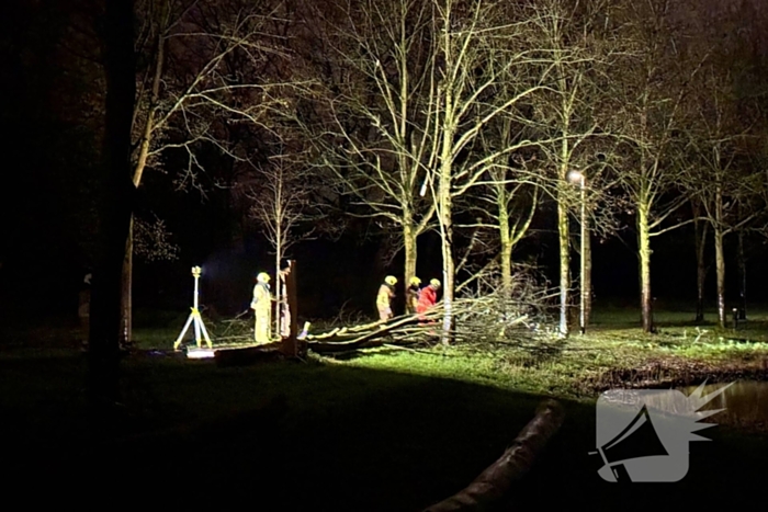 Boom valt over fietspad