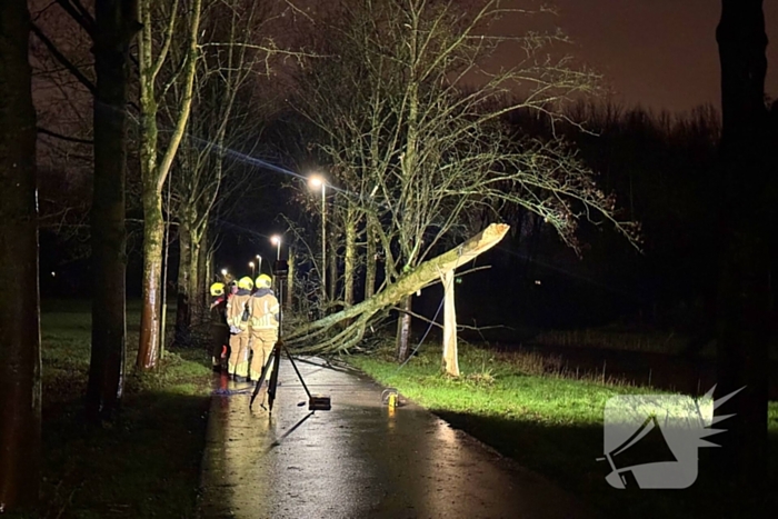 Boom valt over fietspad