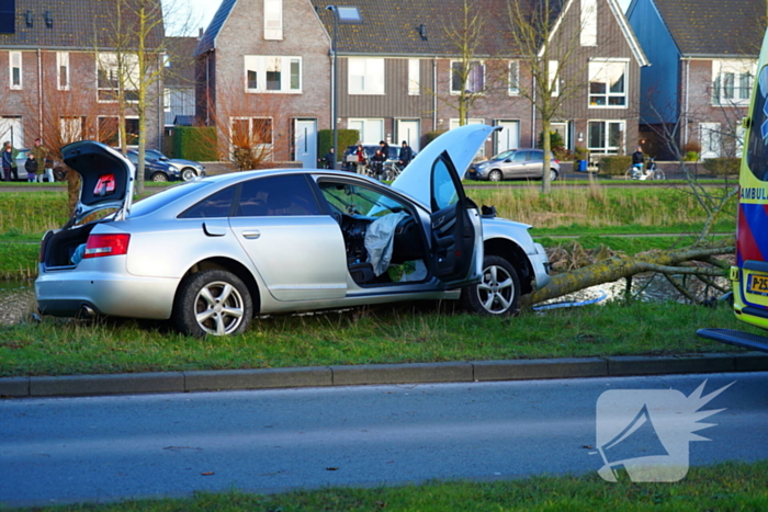 Flinke schade nadat automobilist op boom botst