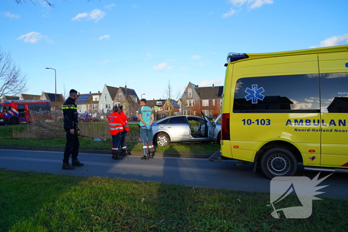 Flinke schade nadat automobilist op boom botst