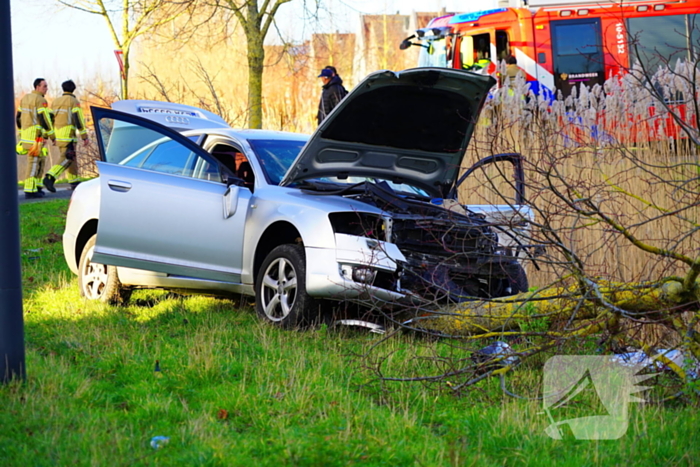 Flinke schade nadat automobilist op boom botst