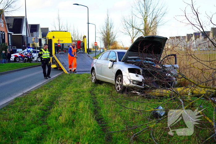 Flinke schade nadat automobilist op boom botst
