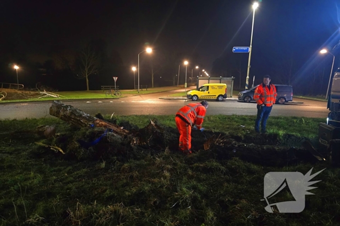 Chauffeur rijdt rechtdoor op rotonde en knalt tegen boom