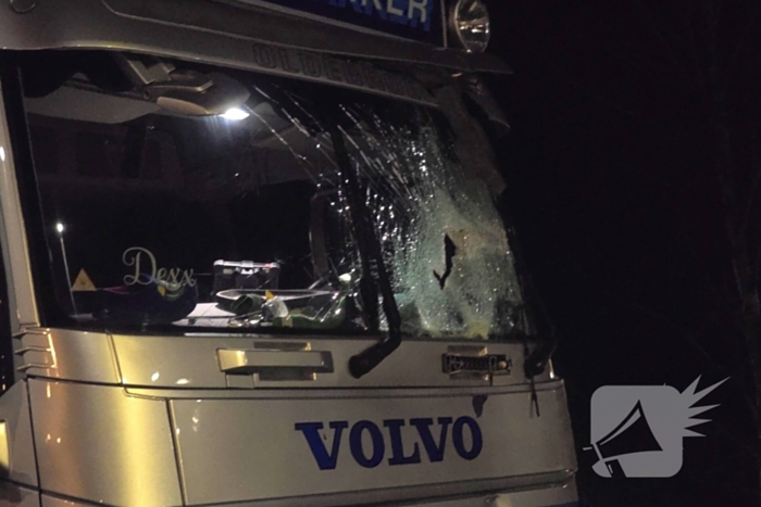 Chauffeur rijdt rechtdoor op rotonde en knalt tegen boom