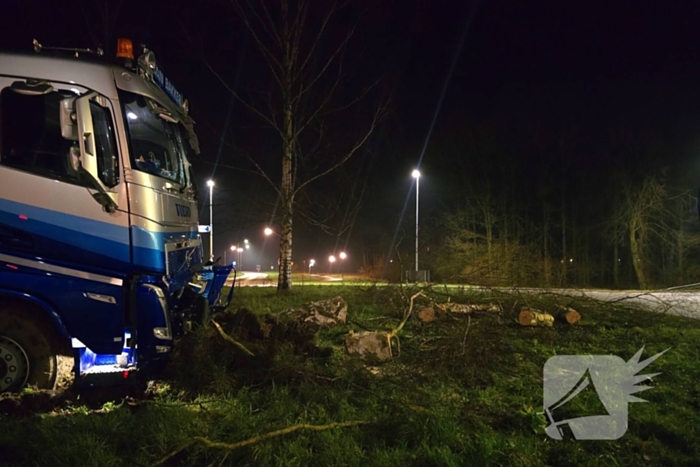 Chauffeur rijdt rechtdoor op rotonde en knalt tegen boom