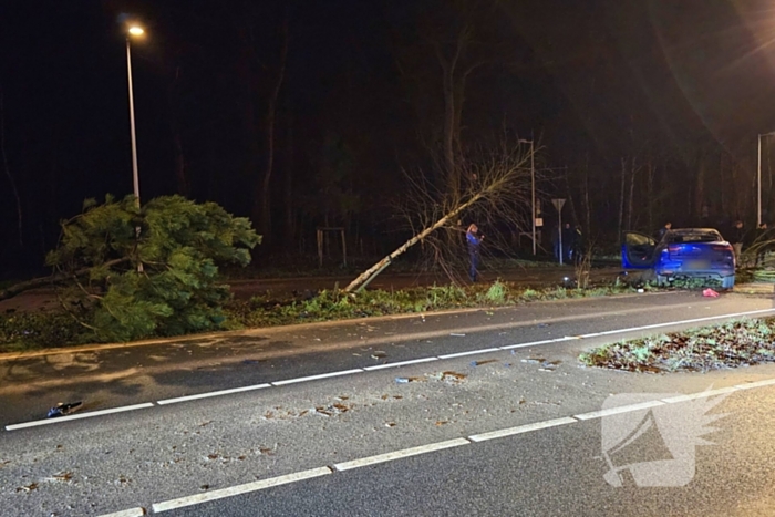 Jaguar i-pace rijdt meer bomen omver, bestuurder aangehouden