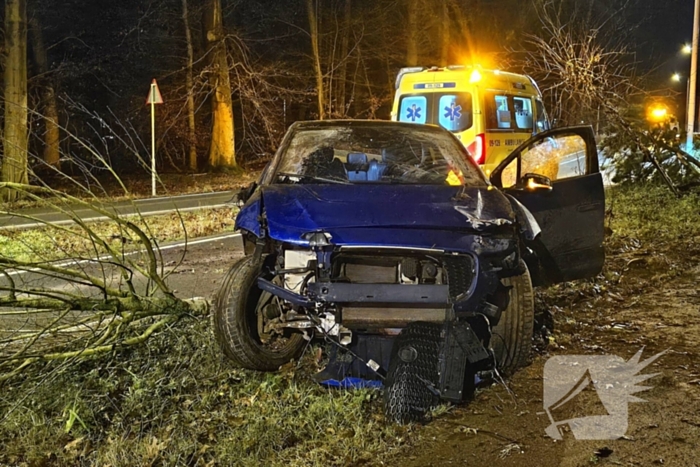 Jaguar i-pace rijdt meer bomen omver, bestuurder aangehouden