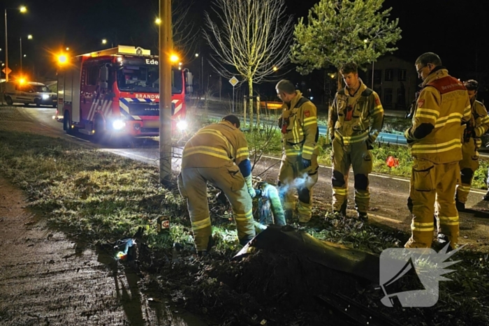 Jaguar i-pace rijdt meer bomen omver, bestuurder aangehouden