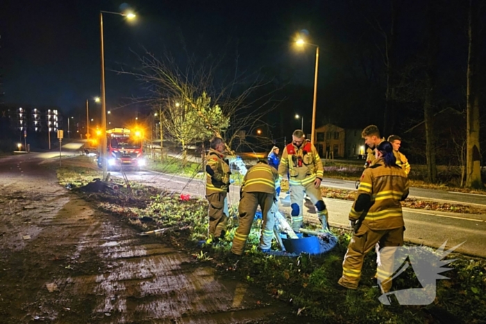 Jaguar i-pace rijdt meer bomen omver, bestuurder aangehouden