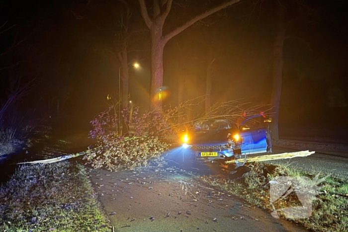 Automobilist eindigt tegen boom