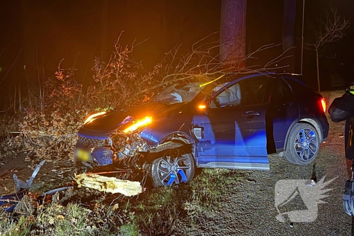 Automobilist eindigt tegen boom