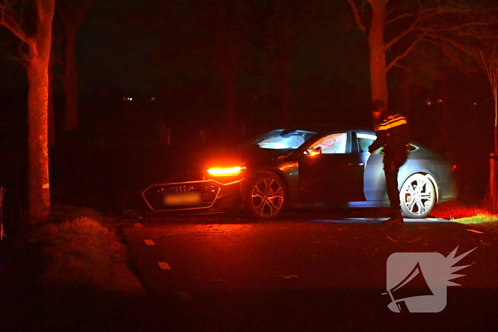 Automobilist klapt op boom