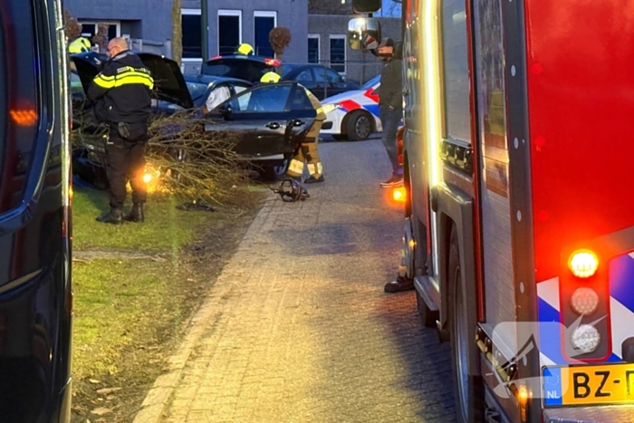 Automobilist verliest macht over stuur en klapt op boom