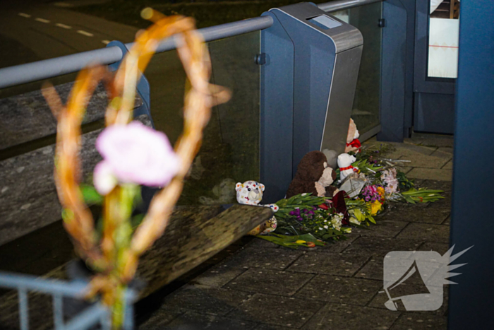 Burgemeester Detmersweg - N206 Nieuws Zoeterwoude 