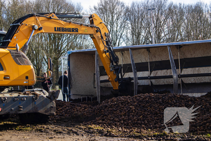 Vrachtwagentrailer met aardappelen kantelt