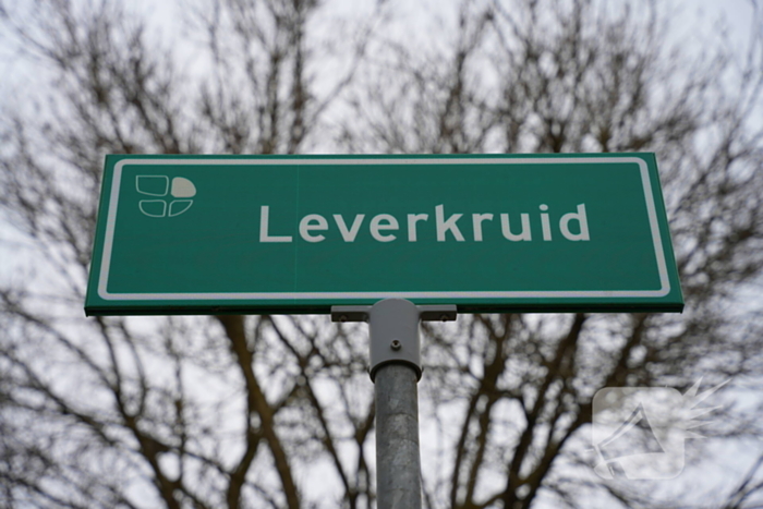 Meerdere autobanden lek gestoken