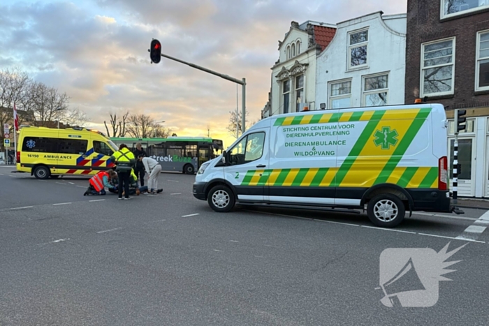 Scooterrijder gewond bij aanrijding met fietsbezorger