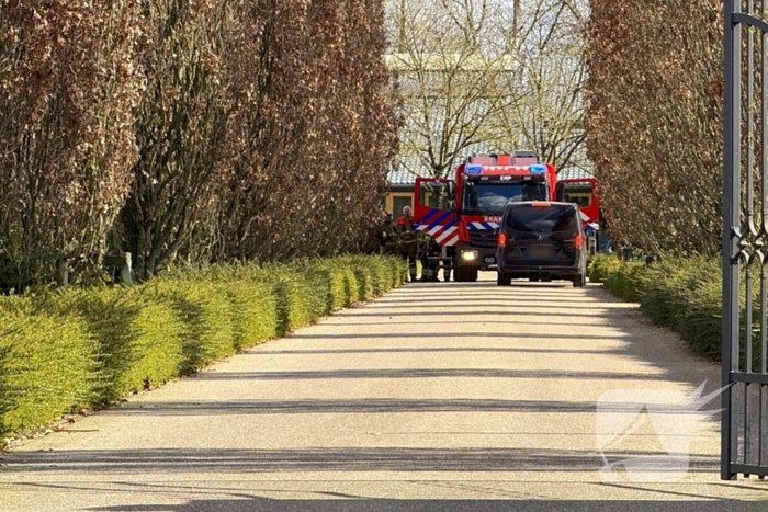 Brandweer ingezet voor paard in de problemen