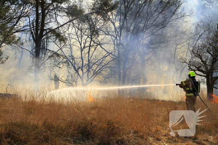 Zeer grote brand in de Laurabossen