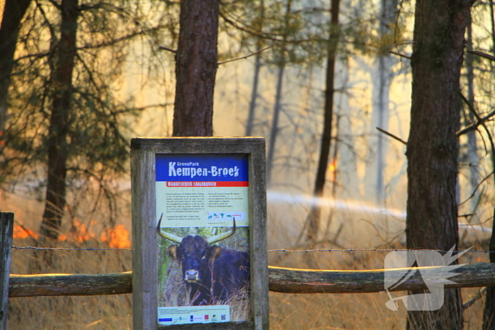 Zeer grote brand in de Laurabossen