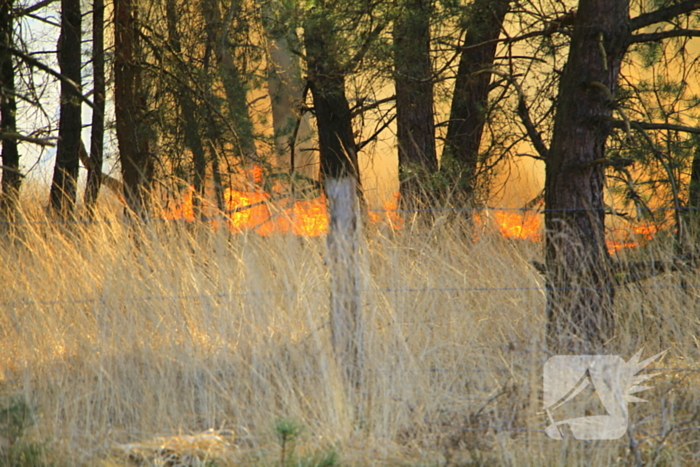 Zeer grote brand in de Laurabossen