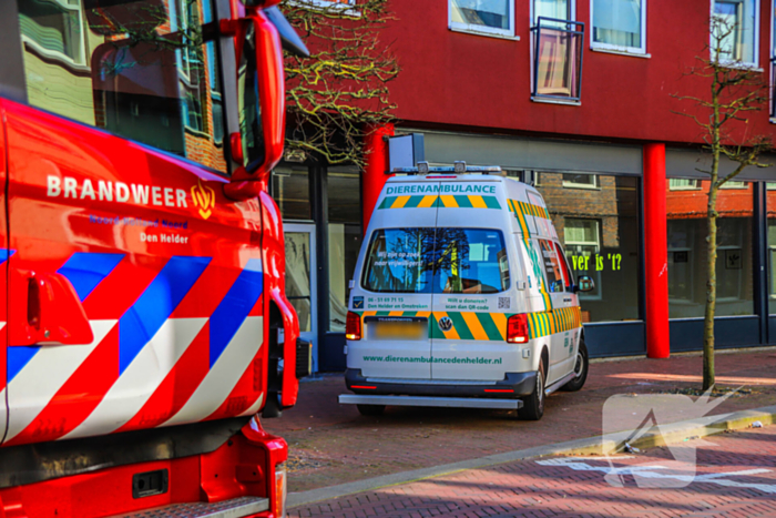 Duif gered uit benarde positie achter glazen balustrade