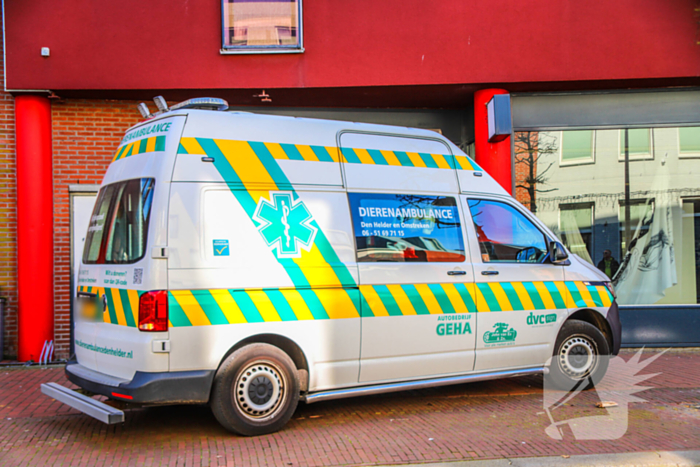 Duif gered uit benarde positie achter glazen balustrade