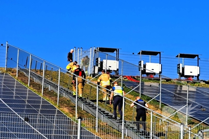 Brandweer redt schaap uit hek