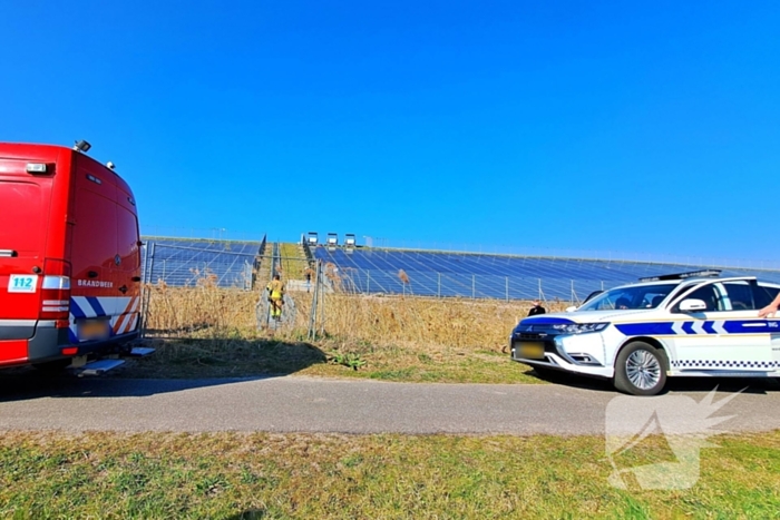 Brandweer redt schaap uit hek