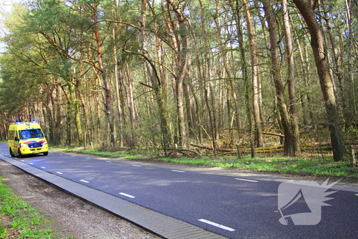 Automobilist raakt van de weg en belandt tegen boom