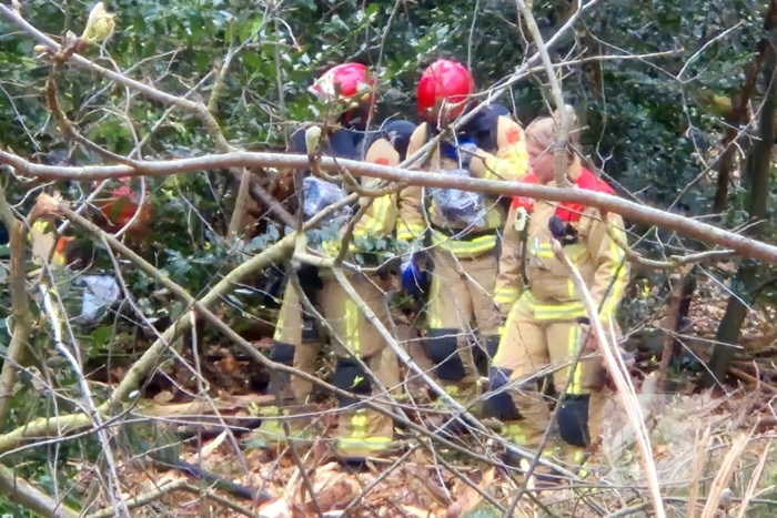 Brand in bosgebied snel onder controle