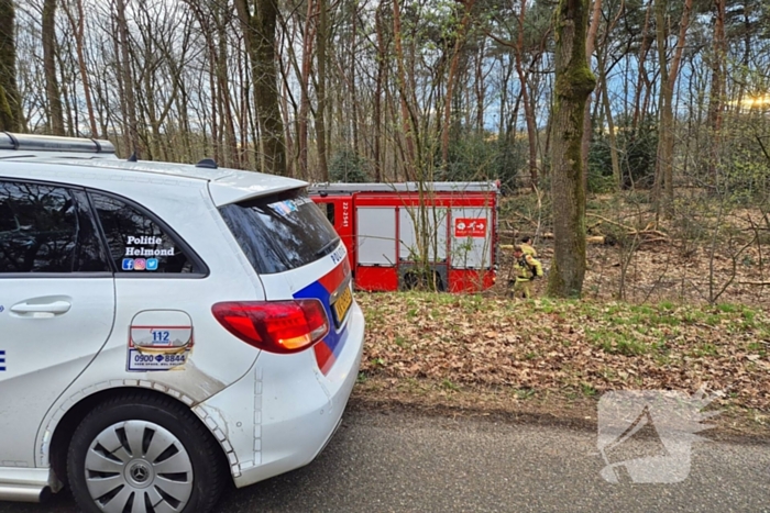 Brand in bosgebied snel onder controle