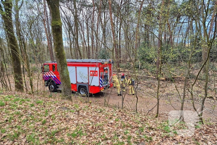 Brand in bosgebied snel onder controle