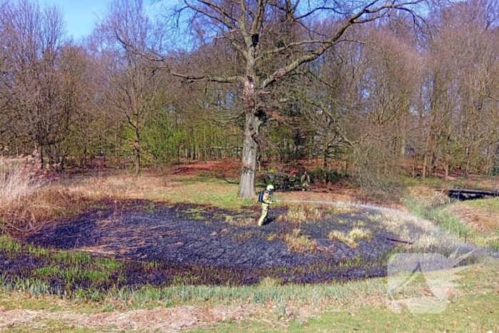 Riet in brand mogelijk brandstichting