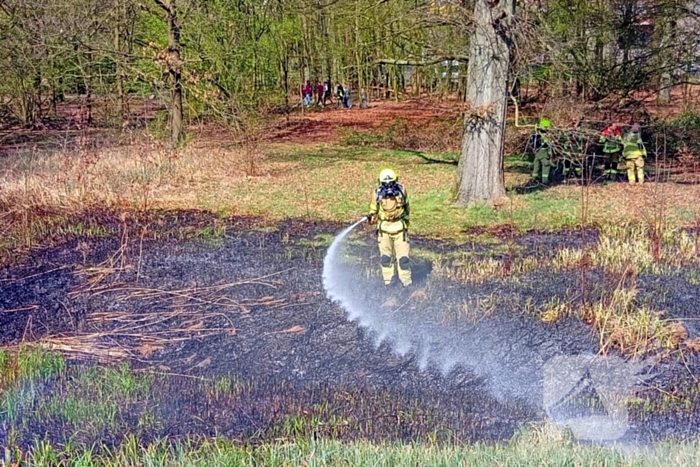 Riet in brand mogelijk brandstichting