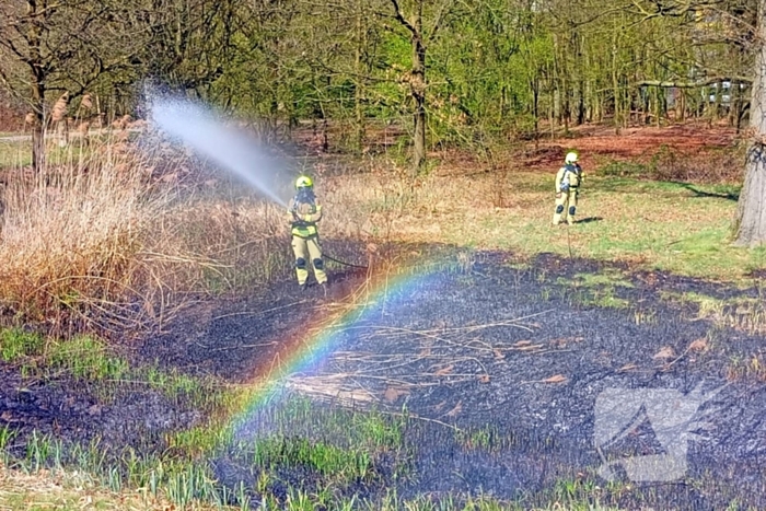Riet in brand mogelijk brandstichting